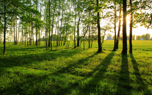 534966 (a): :2560x1600